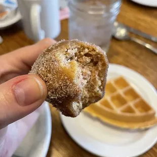 Complimentary Donut Muffins