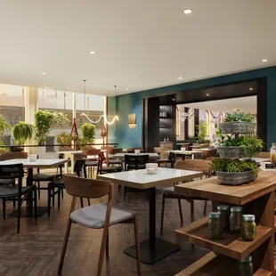 ramen and noodles, interior