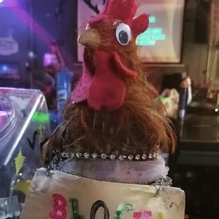 a close up of a chicken hat