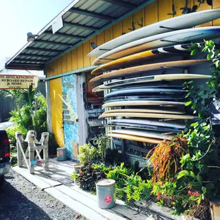 Love the morning sun