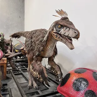 Dinosaur in the warehouse