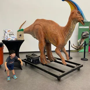 Dinosaurs everywhere! Even before we went inside!