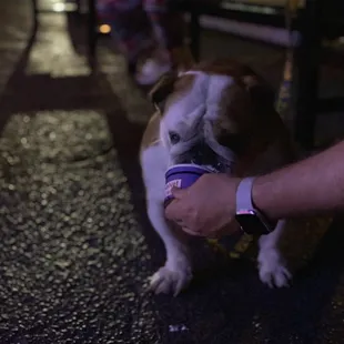 Enjoying that pup Sundae.