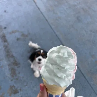 a person holding an ice cream cone