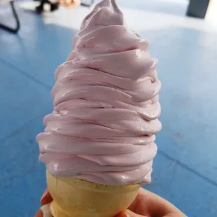 Medium blueberry cone