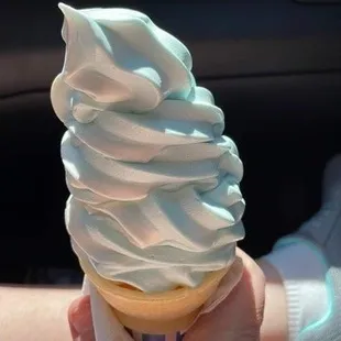 Small Blueberry &amp; Coconut Twist Cone
