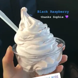 Black Raspberry (4.5/5): this tasted like vanilla soft serve ice cream with a slight lemon zest taste!