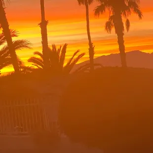 Relaxing at home with some tasty LIT Live Resin