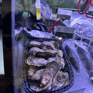 Fresh oysters