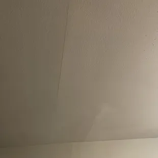 Drywall on roof coming down