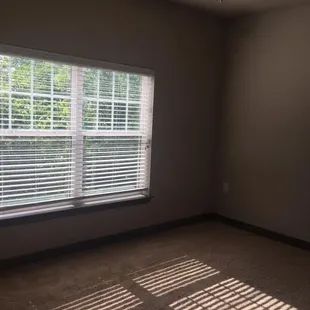 View from master bedroom door.  Lovely window looking into wooded area.
