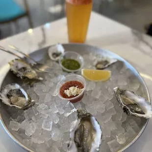 Oysters