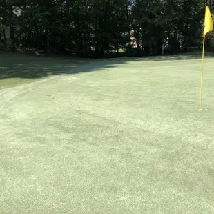 Tee shot, 40 foot from pin on #7, 139 yard Par 3