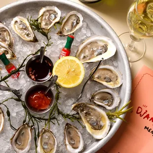 The Django | East Coast Oysters