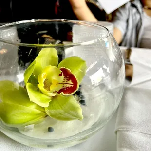drink, sushi and sashimi