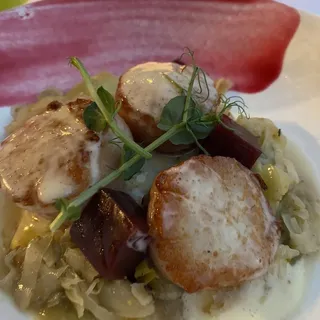 Maine Diver Scallops