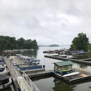 View from the patio