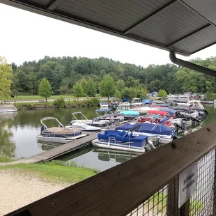 View from the patio