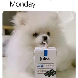 a picture of a dog with a juice in it&apos;s mouth