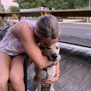 Dog friendly!