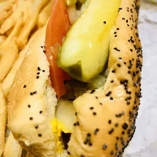 Chicago Style Hot Dog and Fries