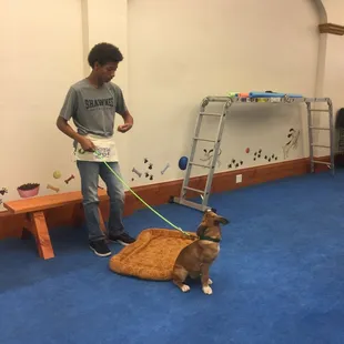 Doing some puppy training.