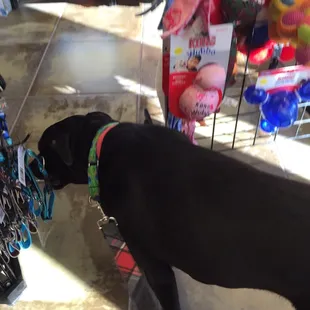 Every item in the shop is Made in America!