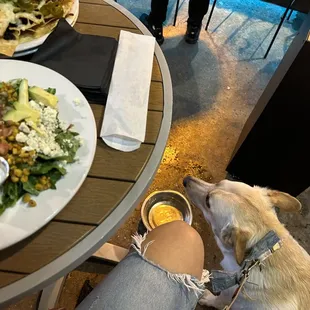 Dog friendly!