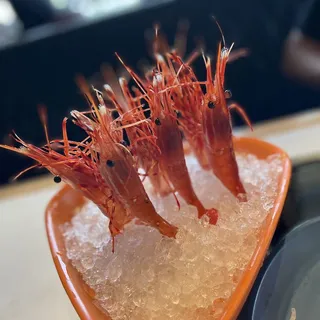 Wild Peony Shrimp