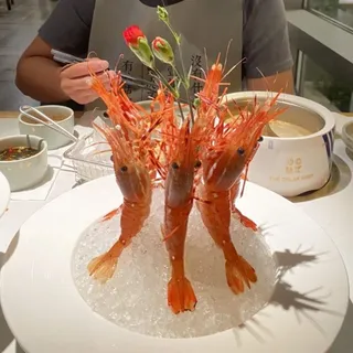 6 Piece Wild Peony Shrimp