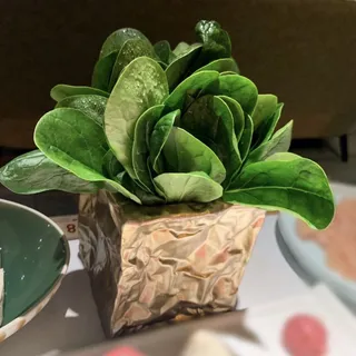 Spinach