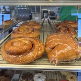 a bee in the donut case