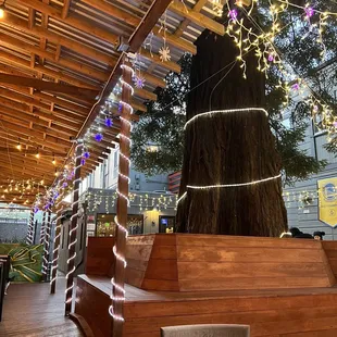 Patio under redwood trees