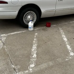 One of the cat bowls and a bleach bottle setting next to an old broken down Lincoln