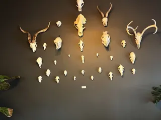 As Above, So Below Distillery