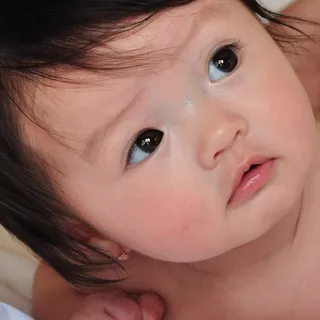 Truong P.