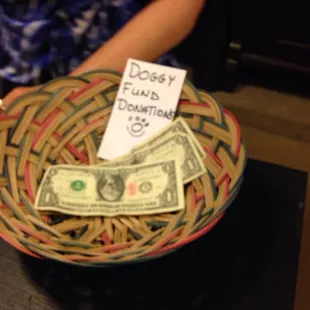 Just a pup looking for a handout, I mean a pawout.