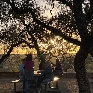 a group of people sitting at a picnic table