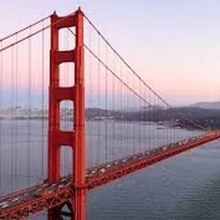 SF T.