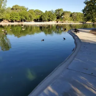 Morning inspiration my 3-duckies