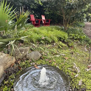 Duke Mansion gardens