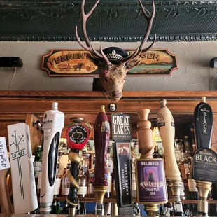 a deer head mounted on a bar