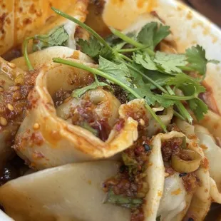 Garlic and Chives Dumplings