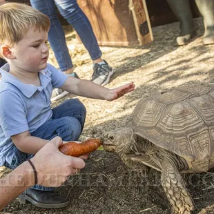 Parents help the little ones feed