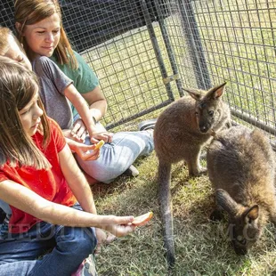 Wally and Eva when younger