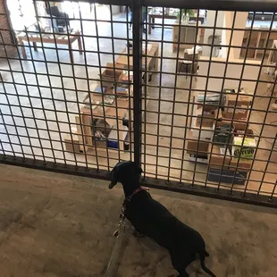 Looking down from second level