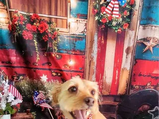 Cosmic Canines Pet Salon & Spa