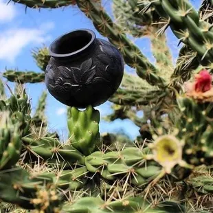 Hand crafted pottery from the Mata Ortiz pueblo