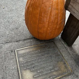 Previous shoreline of Manhattan is marked here.