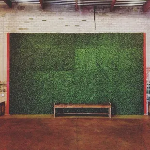 12&apos; x 20&apos; boxwood wall